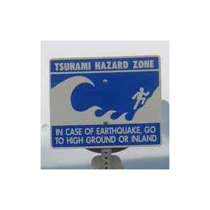 Illustration de l'action Tsunamis