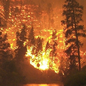 Illustration de l'action Feux de forêt