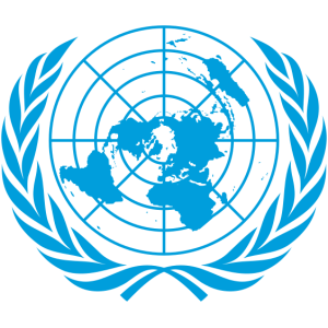 Illustration de l'action Organisation des Nations unies