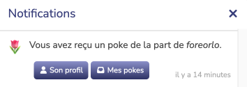 Poke reçu dans les notifications